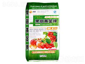 �����S���-�����ʘI(y��)