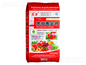 �����S��⛣��t��-�����ʘI(y��)