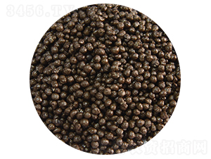 ������@���w����-��ӷʘI(y��)