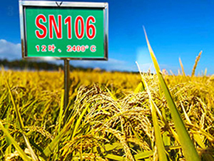 SN106-ˮ���N��-���ϷN�I(y��)