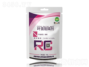 �~�����-�سȾ���