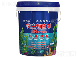 С����̼⛺˷�-ֲ���r(n��ng)-һ������