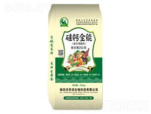 ���}ȫ��-�A�I����