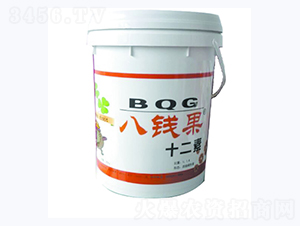 ���X��ʮ����-�A�I����