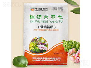 �M(j��n)����̿�I�B(y��ng)��-���ֶ����