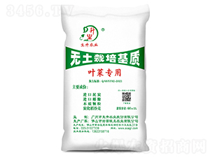 �~�ˌ��ßo��������|(zh��)-�����r(n��ng)�I(y��)