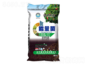 �ЙC(j��)���Ͼ���-���S�Ƽ�