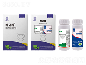 �E�R��(qi��ng)���M���ײ�-���~�v-���A����