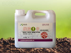 ����1̖-��������