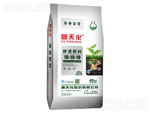 �������19-19-19-���컯