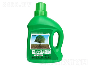 1000mlǤ�塤����������(qi��ng)��������-�ֱ�ķ-�T�ַ���