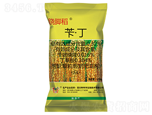 �S����������ˎ��-�E�_��-�����S����