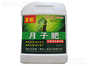 �������߼�����-���ӷ�-�R�D