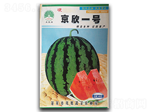 ����һ̖(h��o)-���ϷN��-�P�˷N�I(y��)