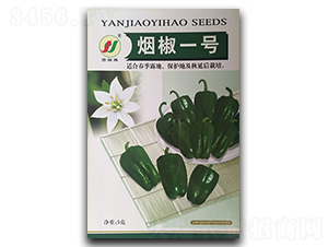 ����һ̖(h��o)-�����N��-�P�˷N�I(y��)