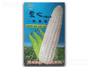 ����-Ŵ���׷N��-�P�˷N�I(y��)