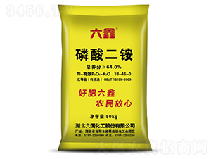 ������@-����-��������