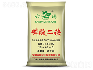 ������@-����-��������