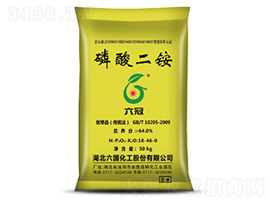 ������@-����-��������