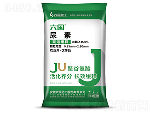 �۹Ȱ�������-��������