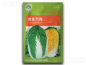 �S���f��-�ײ˷N��-�P�˷N�I(y��)