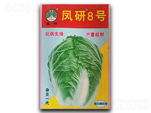 �P��8̖(h��o)-�ײ˷N��-�P�˷N�I(y��)