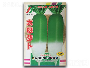 ����}��-�}���N��-�P�˷N�I(y��)