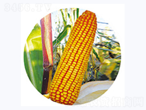 ��138-���׷N��-�����N�I(y��)