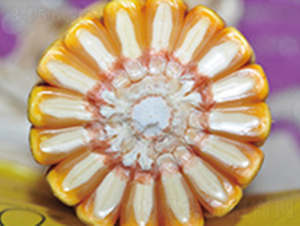 �|315-���׷N��-�����N�I(y��)