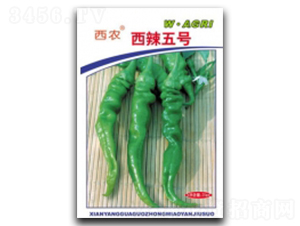 ����5̖(h��o)-�����N��-�ؼt�N�I(y��)