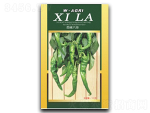 ����6̖(h��o)-�����N��-�ؼt�N�I(y��)