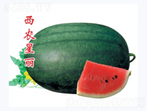 ���r(n��ng)����-���ϷN��-�ؼt�N�I(y��)