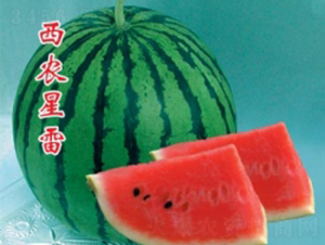 ���r(n��ng)����-���ϷN��-�ؼt�N�I(y��)