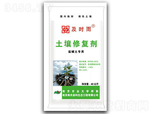 �}�A�����������ޏ̈́�-���r��-���r(n��ng)�߿�