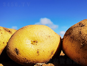 �S����-�R����N��-����N�I(y��)