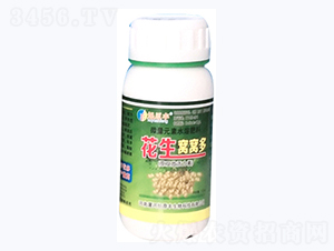 �����C�C��-��ԭ�S