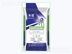 ������������}��-����-��������