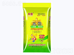 ������������ЙC��-����-��������