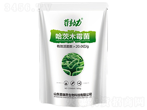 ����ľù��-΢���r(n��ng)�I(y��)