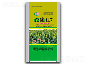 ݆�x117-С���N��-�����S�N�I(y��)