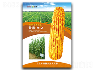 �Ǻ�1912-���׷N��-�Ǻ��N�I(y��)