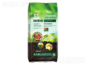 ΢�������-���ߌ�-�����