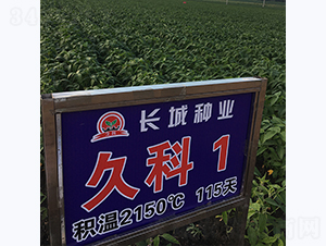 �ÿ�1̖-�󶹷N��-�L�ǷN�I(y��)