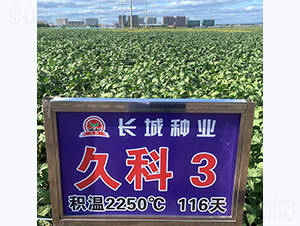 �ÿ�3̖-�󶹷N��-�L�ǷN�I(y��)