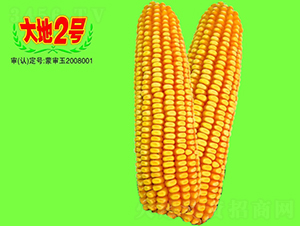 ���2̖-���׷N��-��طN�I(y��)