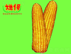 ���1̖-���׷N��-��طN�I(y��)