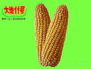 ���11̖(h��o)-���׷N��-��طN�I(y��)