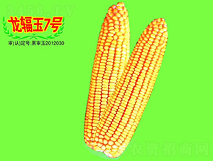 ��ݗ��7̖-���׷N��-��طN�I(y��)