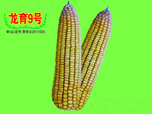 ����9̖(h��o)-���׷N��-��طN�I(y��)