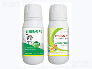 �ߝ��Һ�w�����~��-�����^2̖-�������